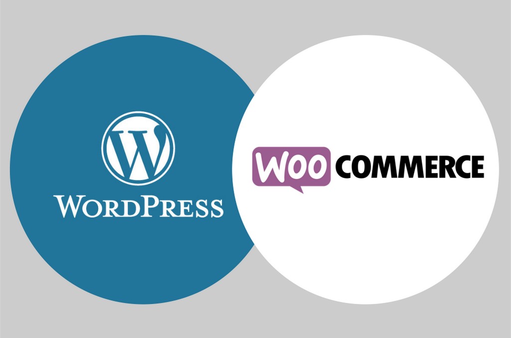 Formaion Wordpress Woocommerce à Saint-Etienne Loire